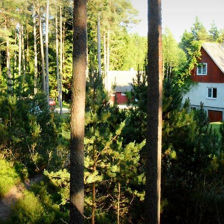 Roosi Holiday Home Rannaküla エクステリア 写真