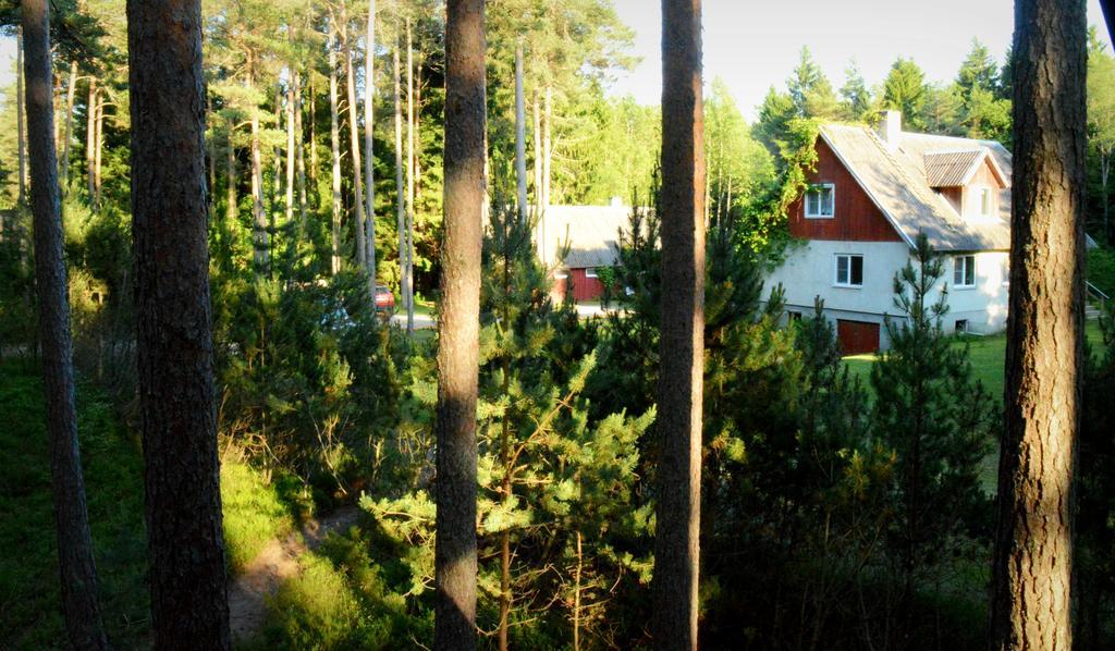 Roosi Holiday Home Rannaküla エクステリア 写真