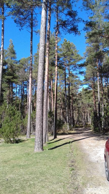 Roosi Holiday Home Rannaküla エクステリア 写真